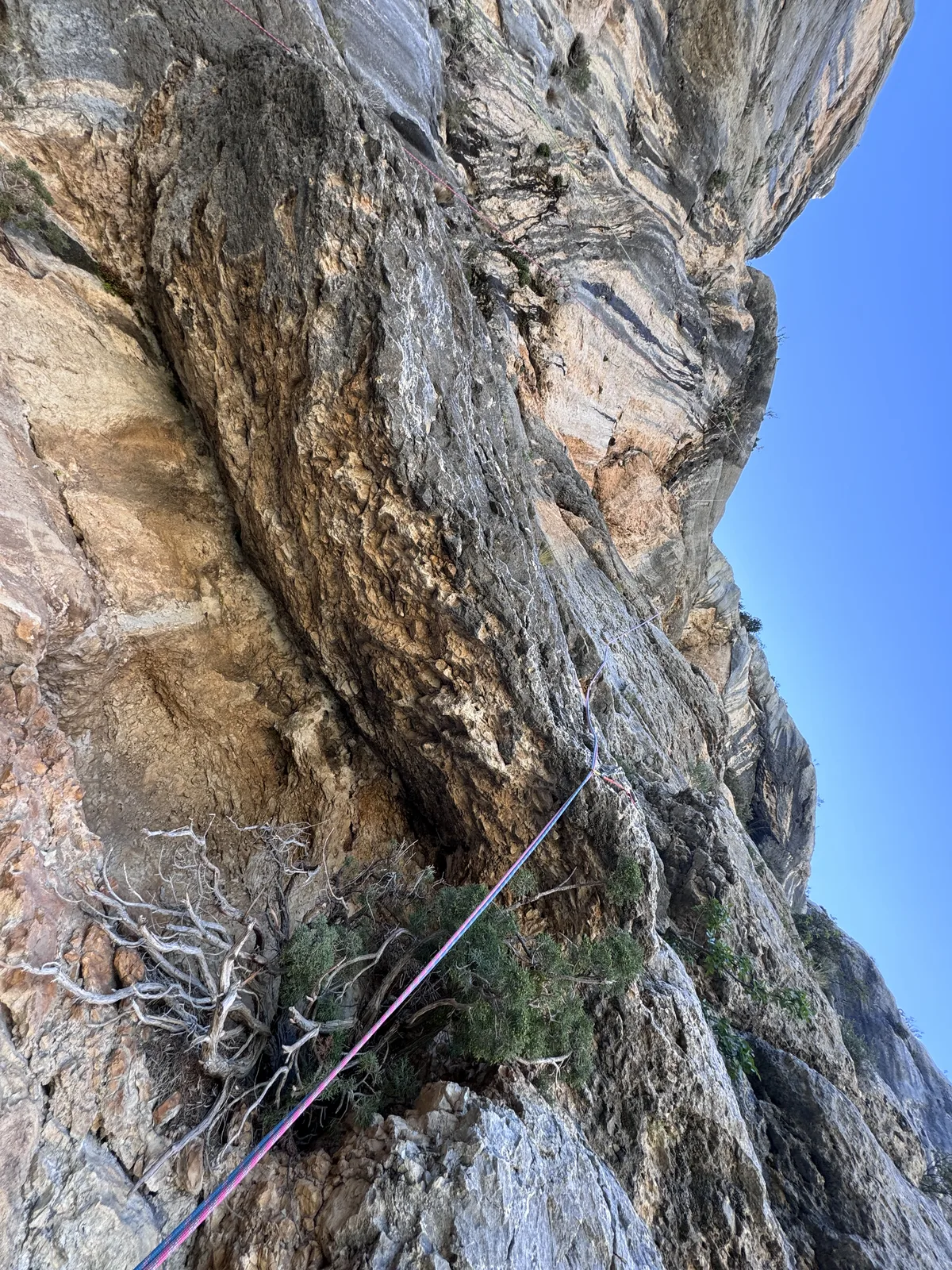 Paroi calcaire en lumière rasante, milieu calcaire typique