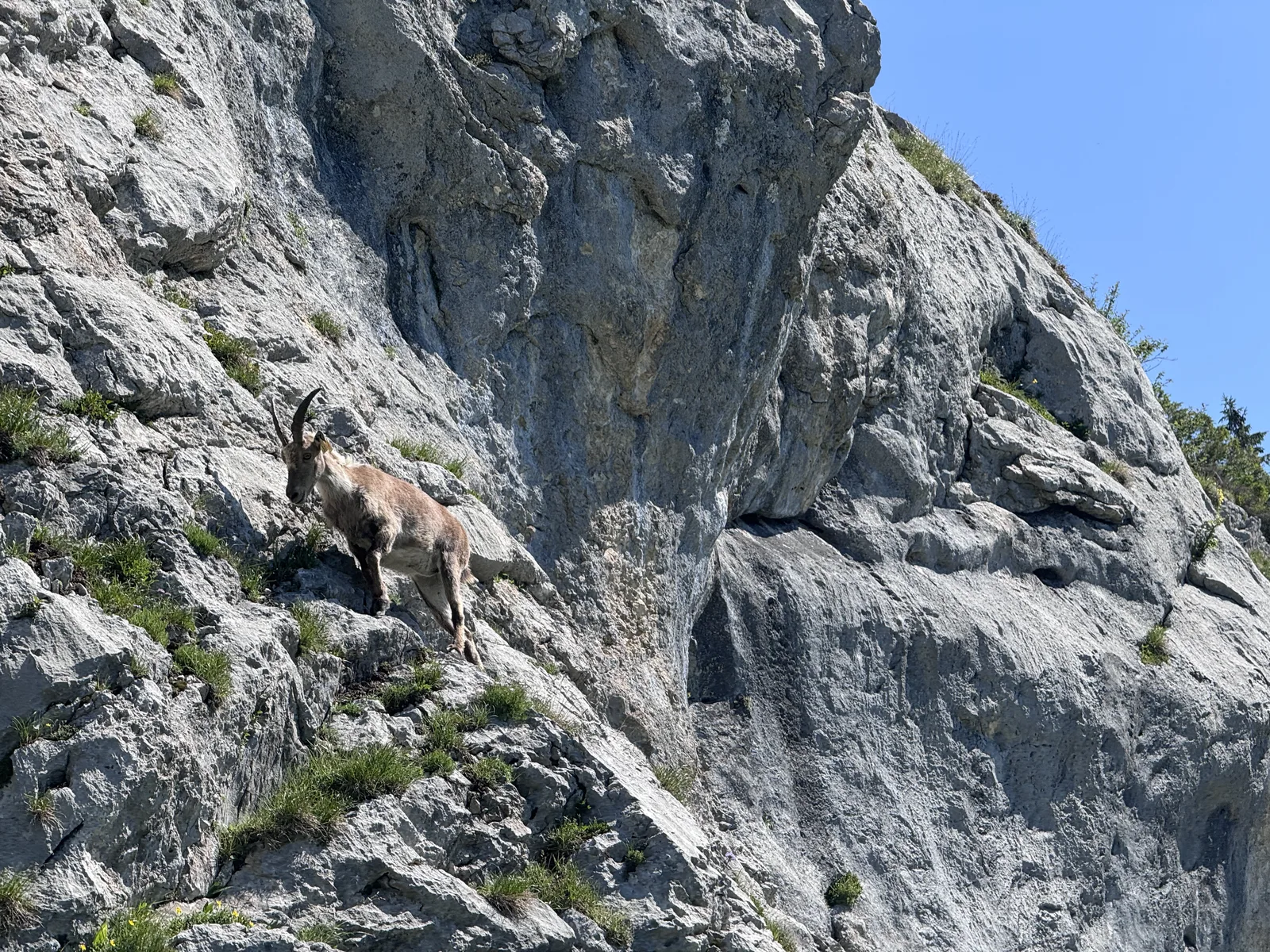 Vécu — partager le terrain