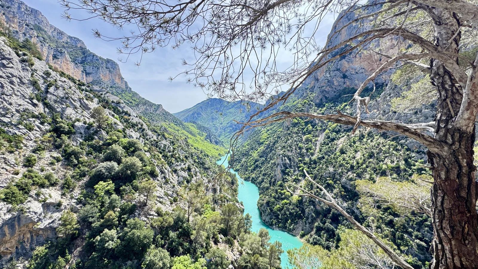 Paroi calcaire avec arbre tordu en avant-plan, ciel pâle