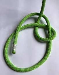 3. Puis le “serpent” fait le tour de “l’arbre”