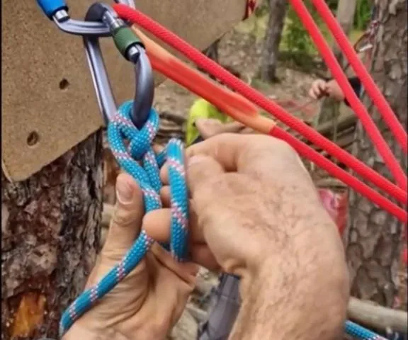 3. Avec l’autre main, faite pénétrer le brin dan la boucle créée